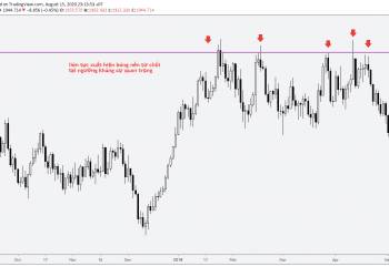 bóng nến trong price action