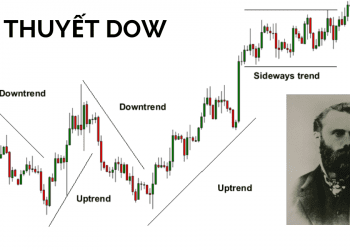 lý thuyết dow