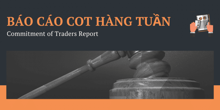 Báo cáo COT hàng tuần