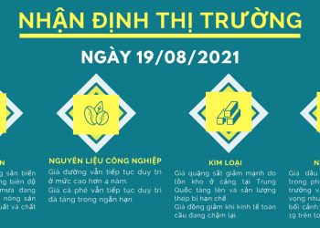 hàng hóa phái sinh