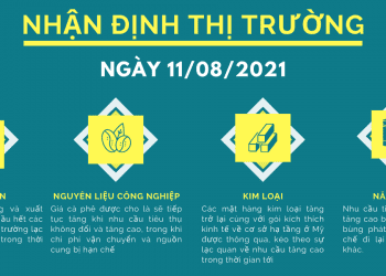nhận định thị trường hàng hóa phái sinh hàng ngày 11.08