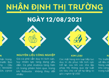nhận định thị trường hàng hóa phái sinh ngày 12.08