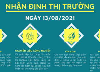 nhận định thị trường hàng hóa phái sinh ngày 13.08