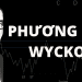Phương pháp Wyckoff là gì