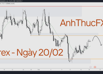 Nhận định thị trường Forex ngày 20.02 AnhThucfx