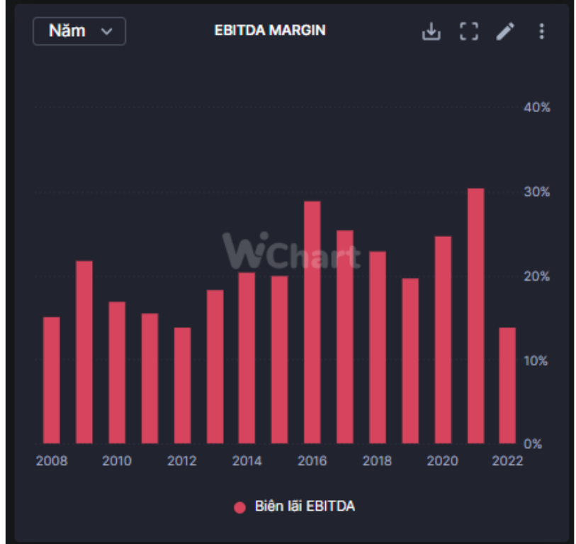 EBITDA margin - HPG - anhthucfx